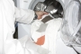 ТЕСТ 30 вида перални (2012)